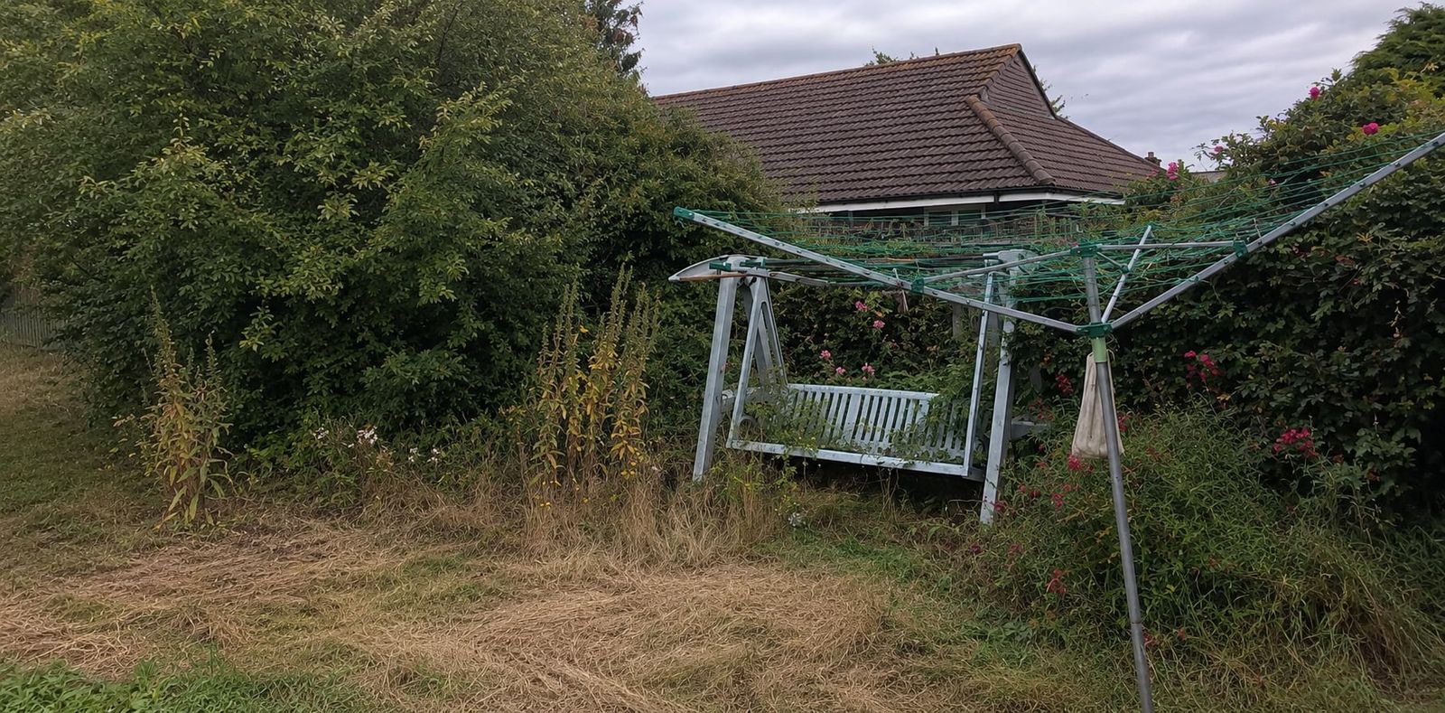 Before: overgrown back garden with long grass in Ferndown