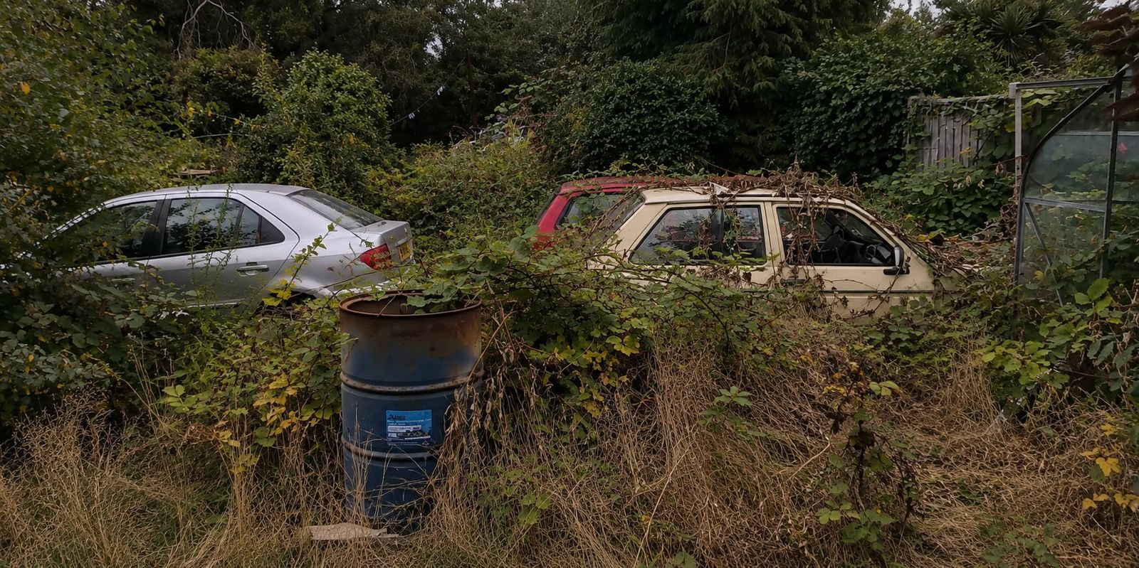 Before: overgrown plot with brambles around parked cars in Verwood